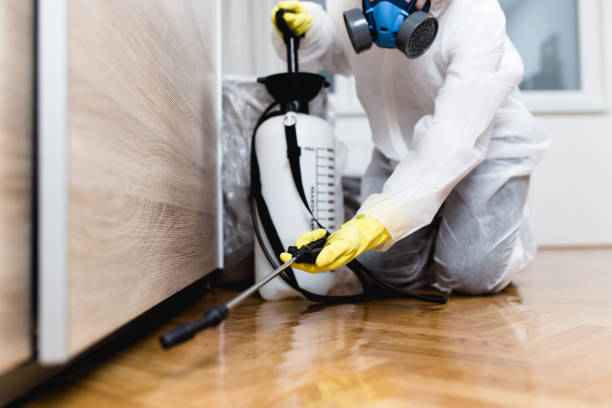 Best Flea Control Services  in Senatobia, MS