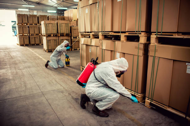 Wildlife Control Services in Senatobia, MS