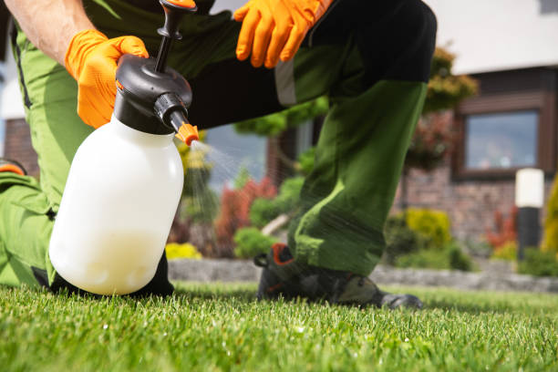 Best Affordable Pest Control Services  in Senatobia, MS