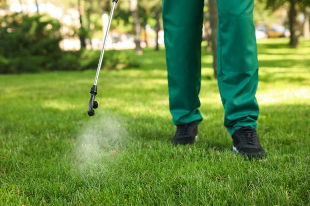 Best Local Pest Control Services  in Senatobia, MS