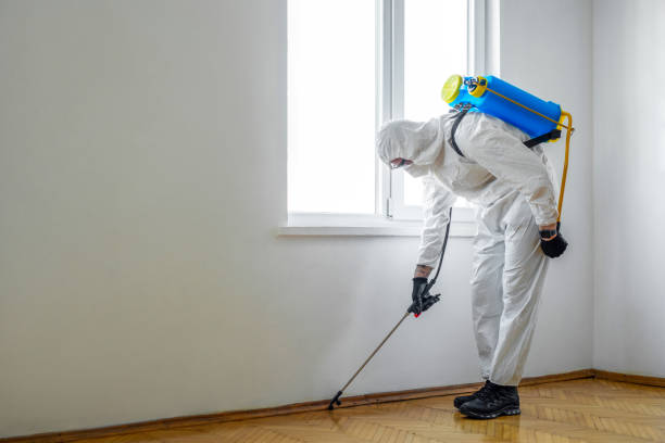 Best Residential Pest Control  in Senatobia, MS